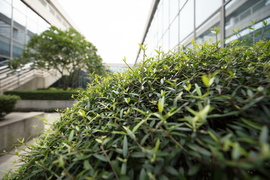 佳能16-35mmF2.8III镜头评测：9年换代值得等