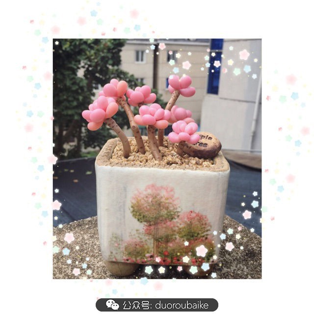 谈谈我对自己的看法,谈谈我对恋爱的看法