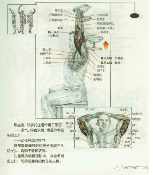 最全哑铃教学,手臂哑铃肌肉训练10个动作图解