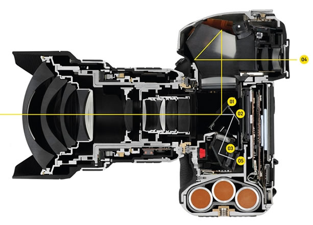 佳能550d单反相机自动对焦,尼康单反相机怎么自动对焦