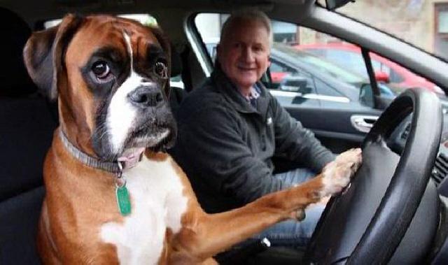 毁三观,这家汽车工厂竟如此不靠谱!