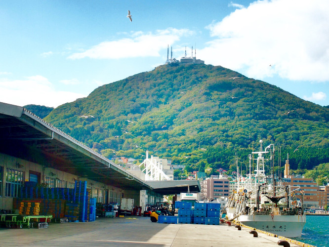 初秋日本快步东京，慢行北海道，泡汤美食8日