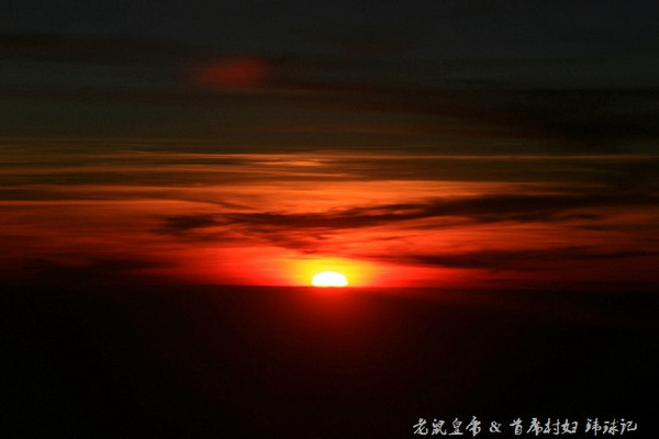 太平洋小小岛国帕劳貌似已被中国人全面占领