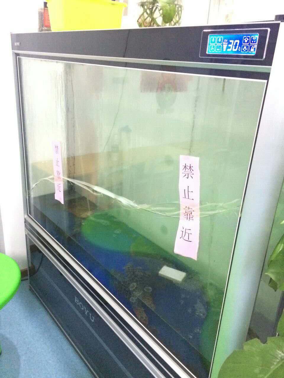 漏水鱼缸废物利用,鱼缸漏水上门维修