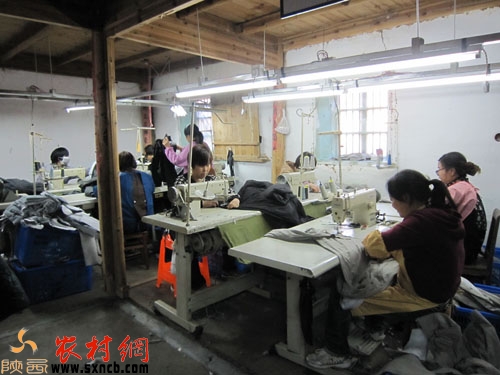 农村创业2024创业新风口,2020农村致富商机