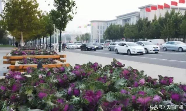 晨读天津,天津早读