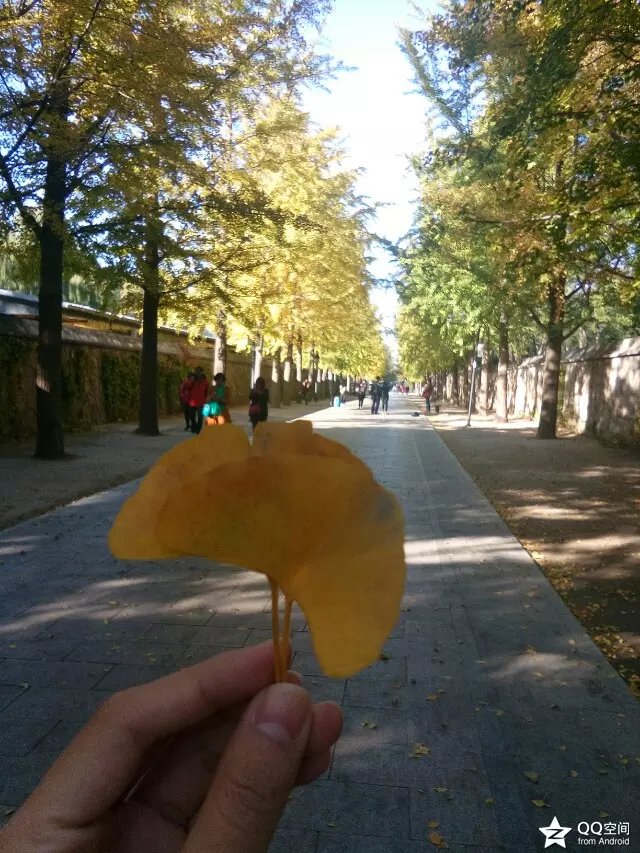 南方姑娘在东北感受夏天,南方姑娘在山东的真实感受