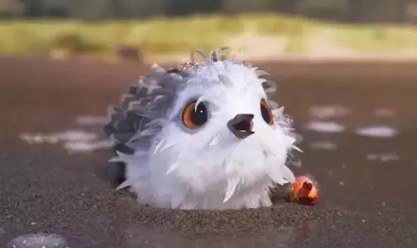 鸟是好鸟就是话多这幅图表达什么,鸟是好鸟是什么梗