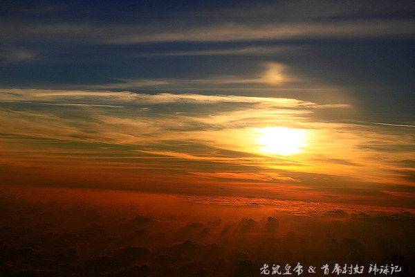 太平洋小小岛国帕劳貌似已被中国人全面占领