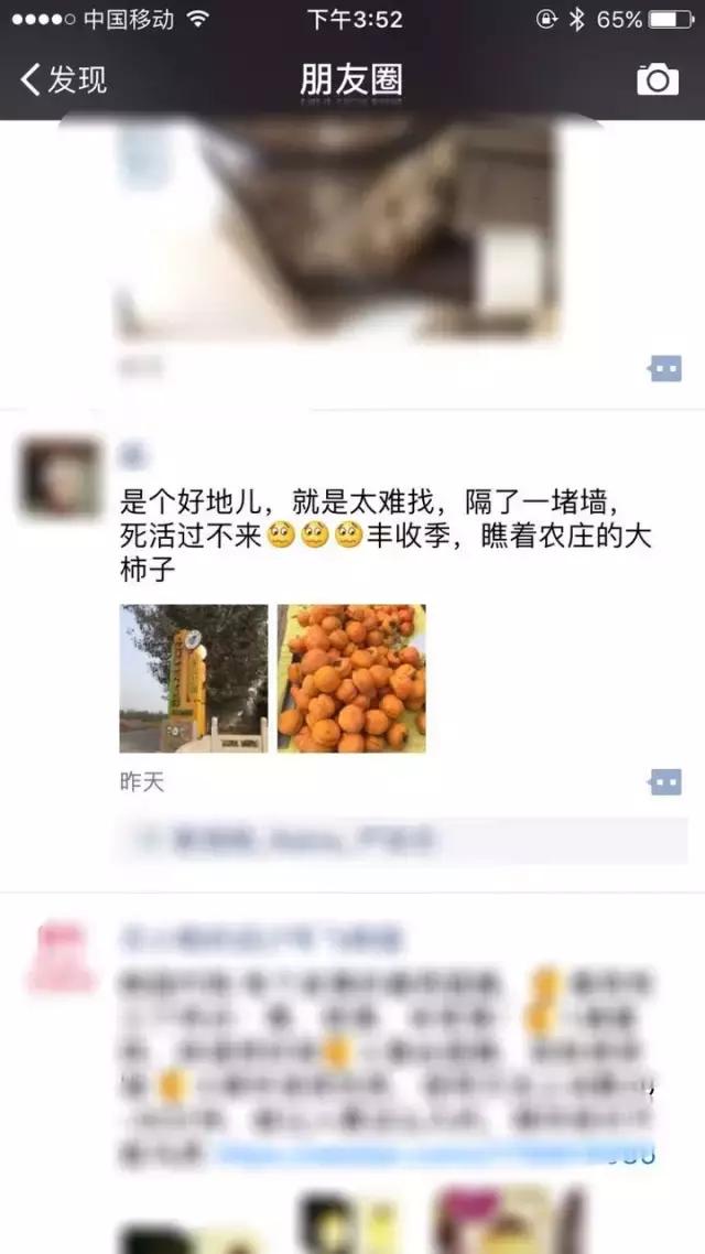 孩子说想出去玩怎么办,孩子问为什么不能出去玩