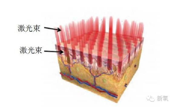 讲大道理女明星,讲人话科普