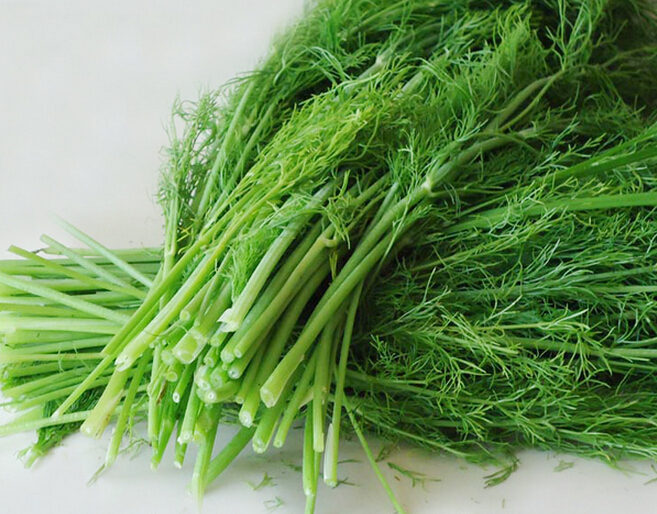 茴香馅儿的饺子的做法,茴香饺子有药味儿