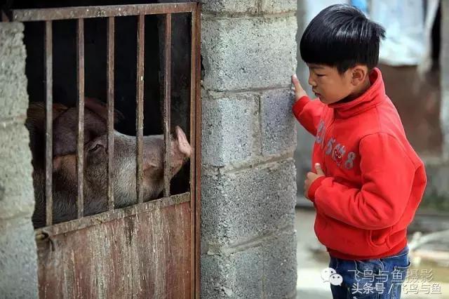 最好的旅程是在家陪伴,最好的旅行是陪伴