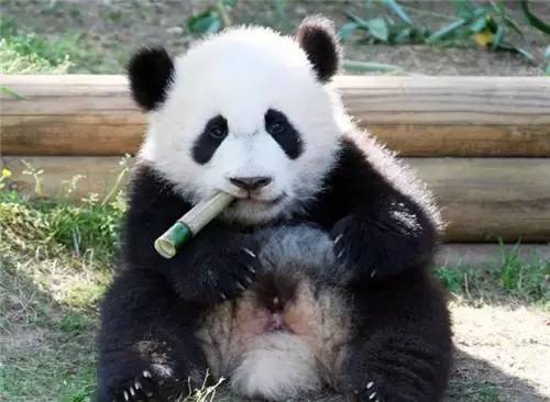 黑眼圈的形成原因中医,黑眼圈是怎么形成的又如何治疗