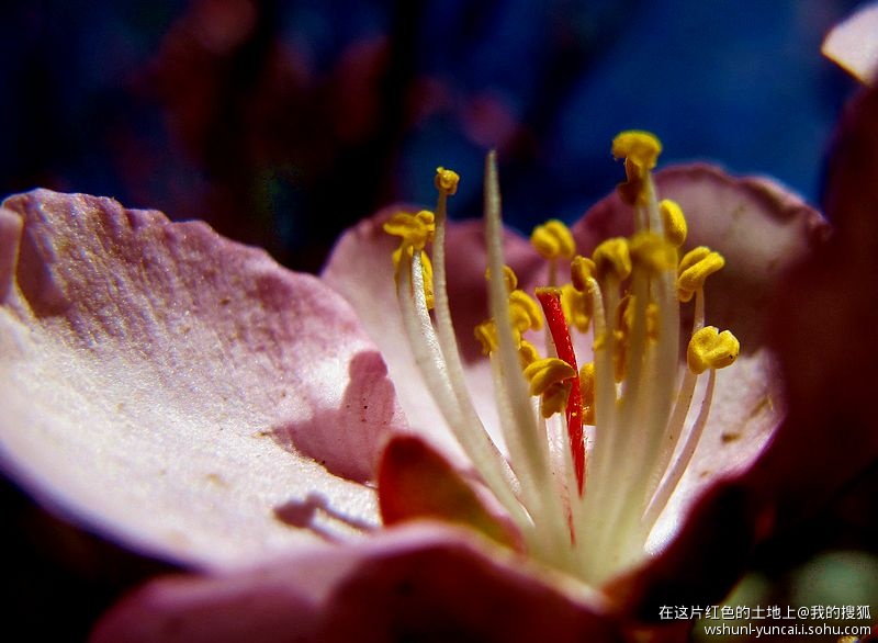 卡片机能拍出大片吗,卡片机能拍出压缩感吗