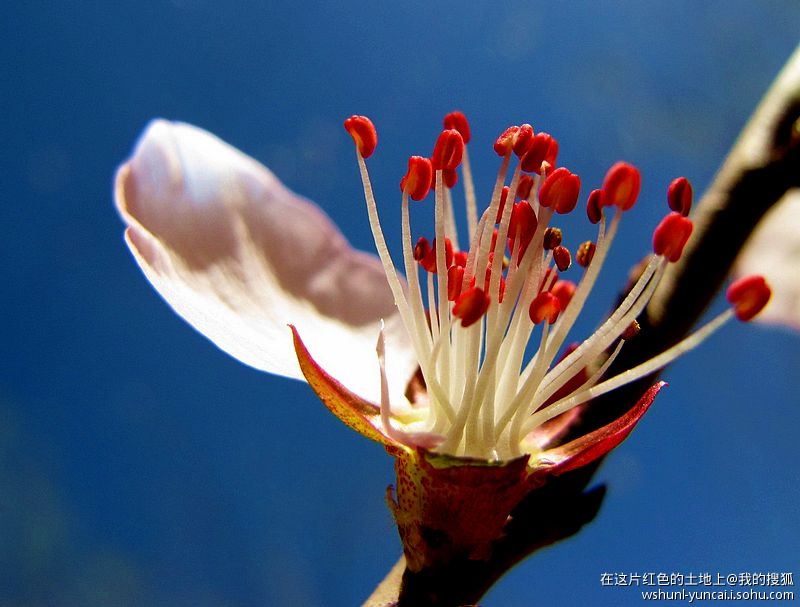 卡片机能拍出大片吗,卡片机能拍出压缩感吗