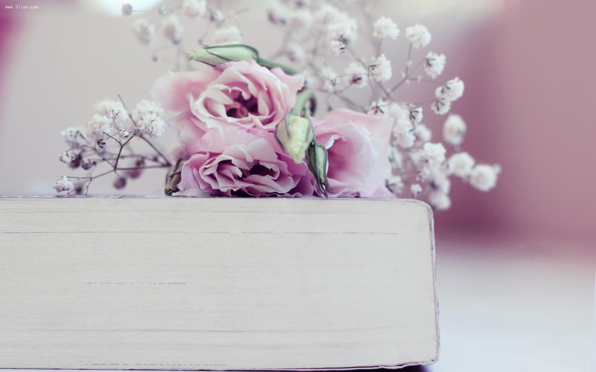 极限挑战数学题,挑战初级会计