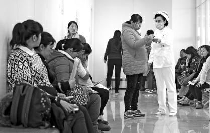 猴宝宝是什么意思,猴宝宝长大了吗