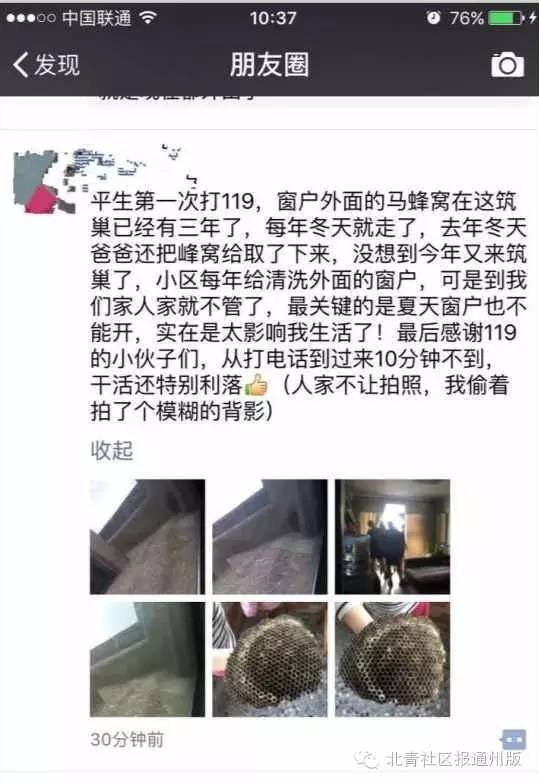 通州热线丨啥！通州一居民家发现足球大的马蜂窝？