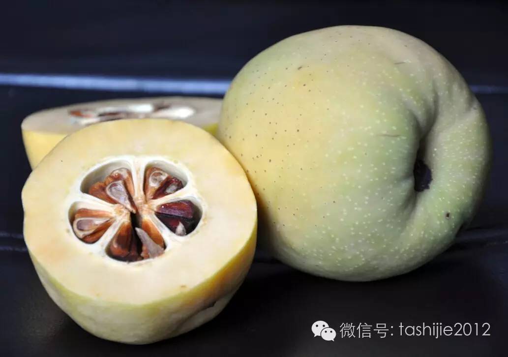 热带水果红牡丹,热带水果莲雾荔枝