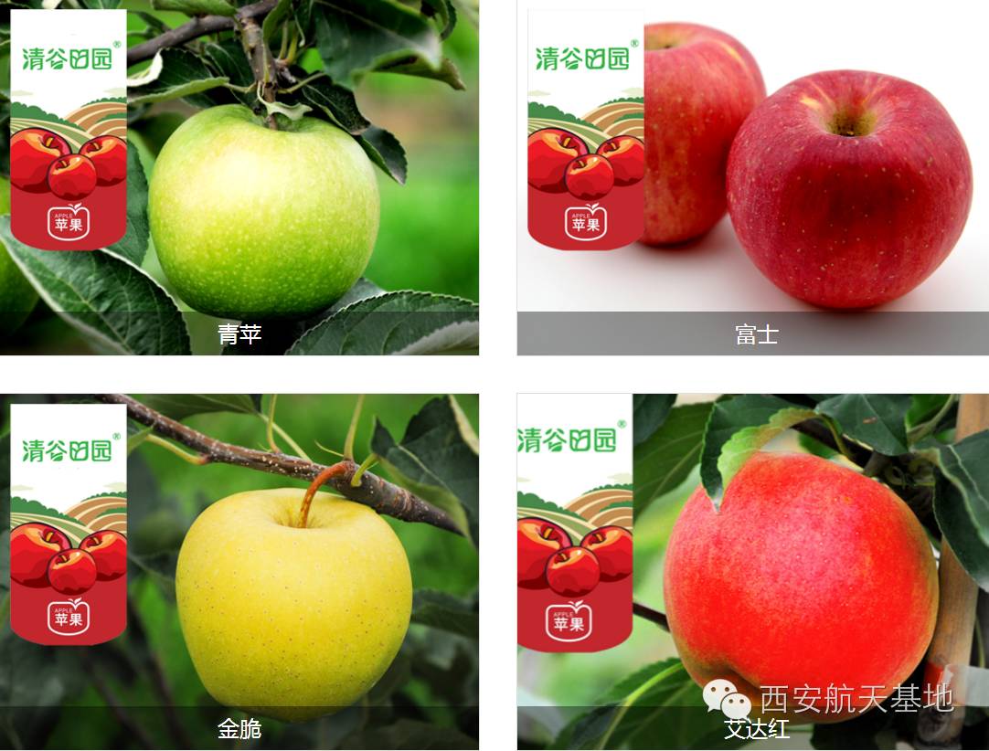 牛气！年出口创汇2亿美元，海升果香弥漫全球