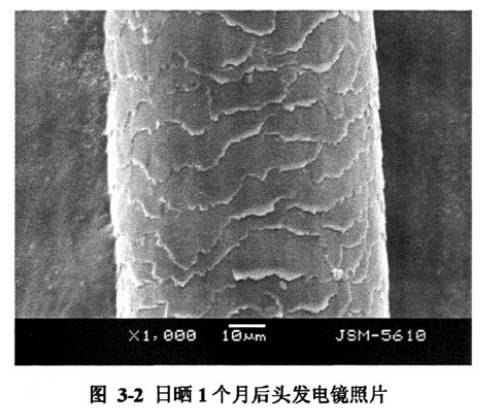 头发为什么会分叉断裂,头发为啥会分叉干枯