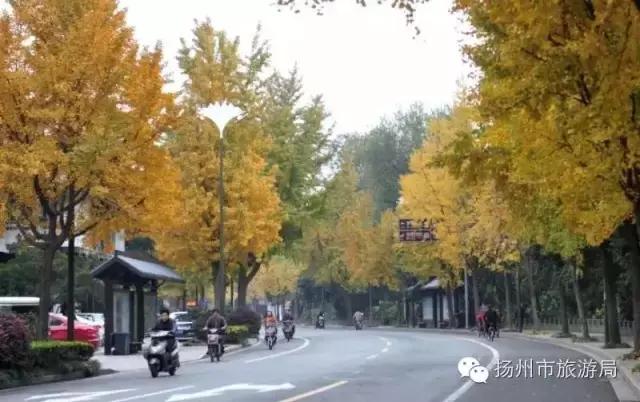 明日立冬,扬州最美的秋景都在这里啦!