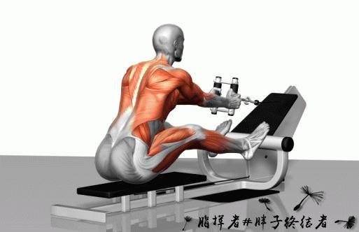 健身应该先练力量吗,哑铃大肌肉群增肌训练