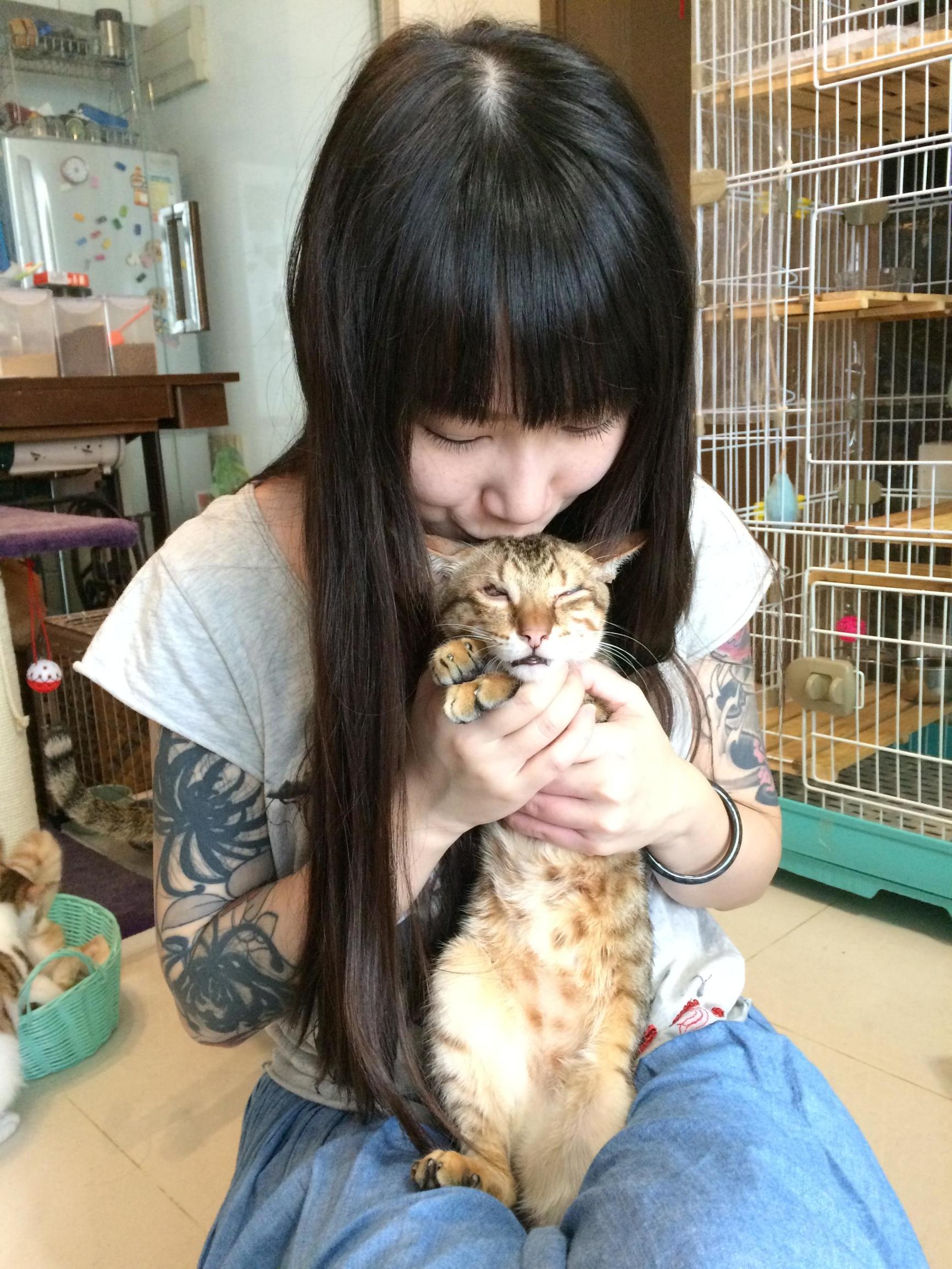 这个香港女孩，是20只残疾猫咪的妈妈：“我会照顾它们到老”