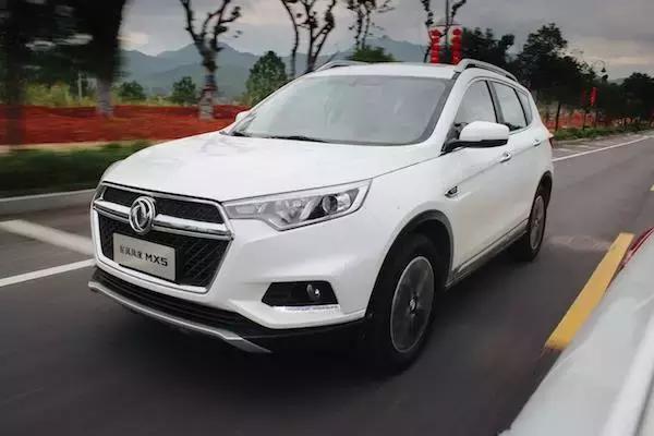 老树开新花七绝,老树开新花枯树发新芽