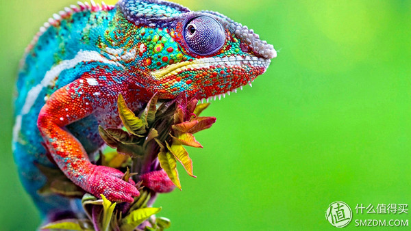 最佳ips屏幕笔记本推荐,高分屏笔记本和ips屏幕哪个好