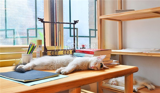 老北京胡同民宿,北京胡同好的民宿推荐