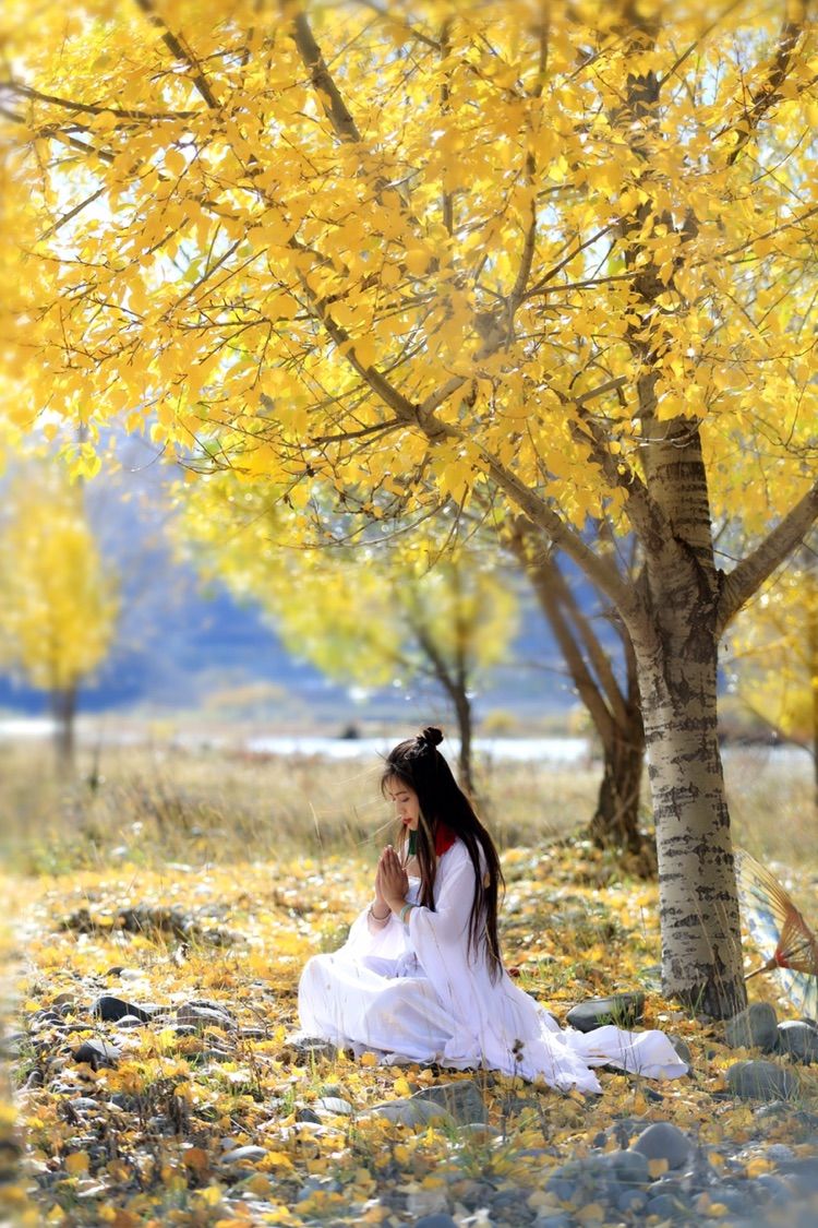 我在秋天等你是什么歌,我在秋天等你美到心碎散文