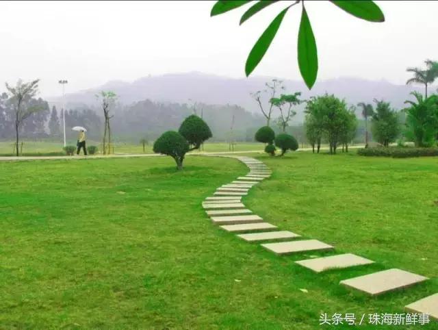 珠海现在还有哪些公园,美爆了的景点