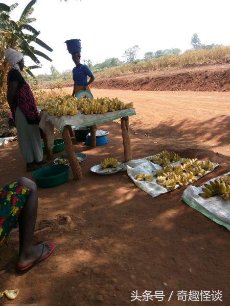 我在非洲工作的日子，给大家介绍下非洲的风土人情