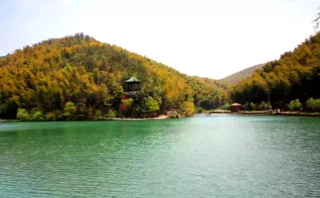 在宜兴竹海，阅读作家笔下的秋！