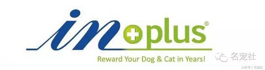 金毛寻回犬产地在哪,正规犬舍赛级双血统金毛幼犬