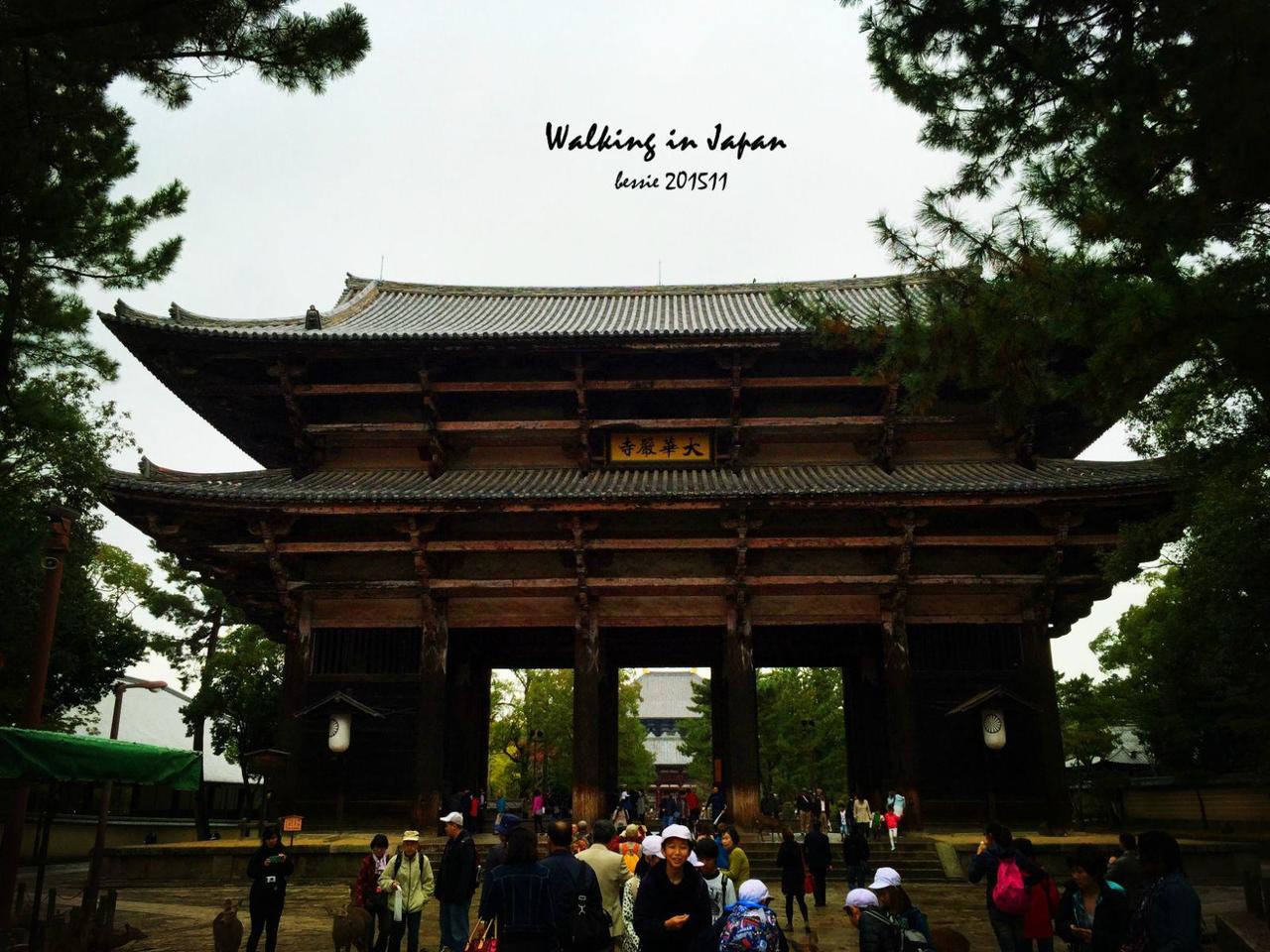 霓虹国秋日暴走之旅,漫步日本旅行游记