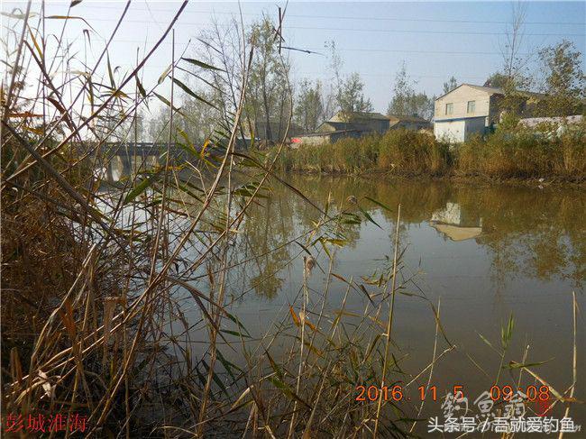 窝料大河野钓推荐,再钓东河水库