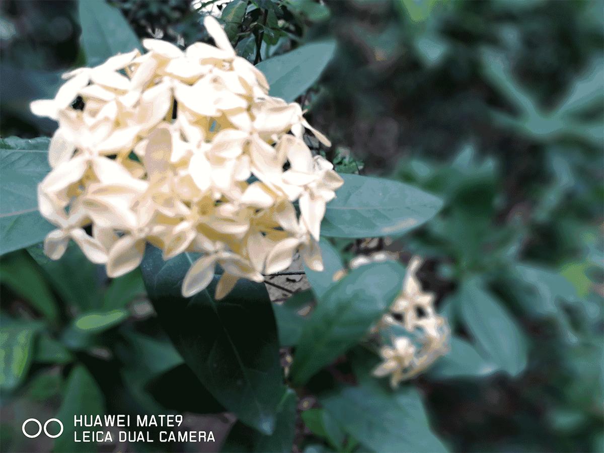 mate9上市价格多少钱,mate9最高版本