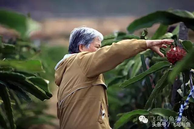 最好的旅游就是陪伴,一场美好的旅行是爱的陪伴