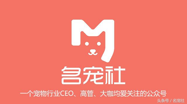 杭州互联网宠物公司有哪些,厦门宠物互联网公司有哪些