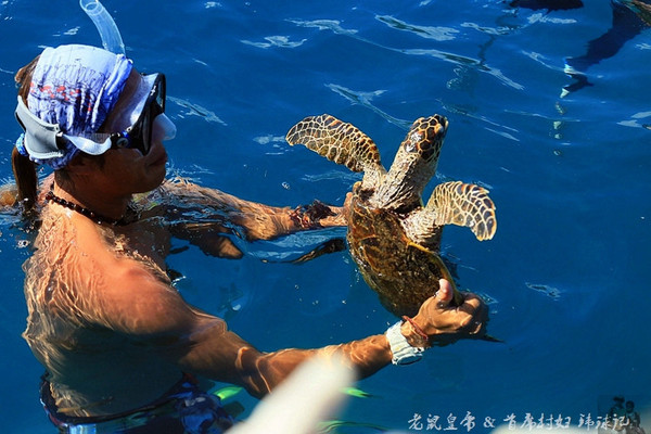 帕劳世界七大海底奇观,帕劳夕阳奇观图片