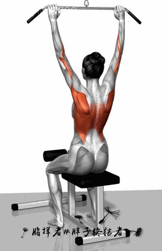 健身应该先练力量吗,哑铃大肌肉群增肌训练