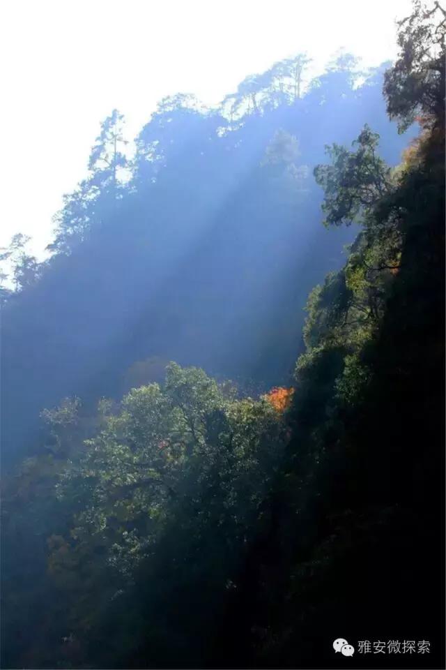 最美的季节,醉美的季节原唱视频