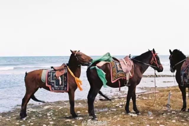 摄影写真排名前十名,摄影十大品牌排行榜前十名