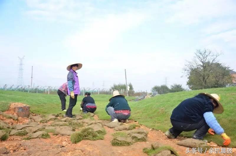 仓前羊锅村哪家最好,仓前羊锅村最新消息