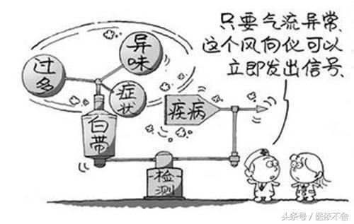 白带异味怎么处理小方法,白带异味吃什么药根治