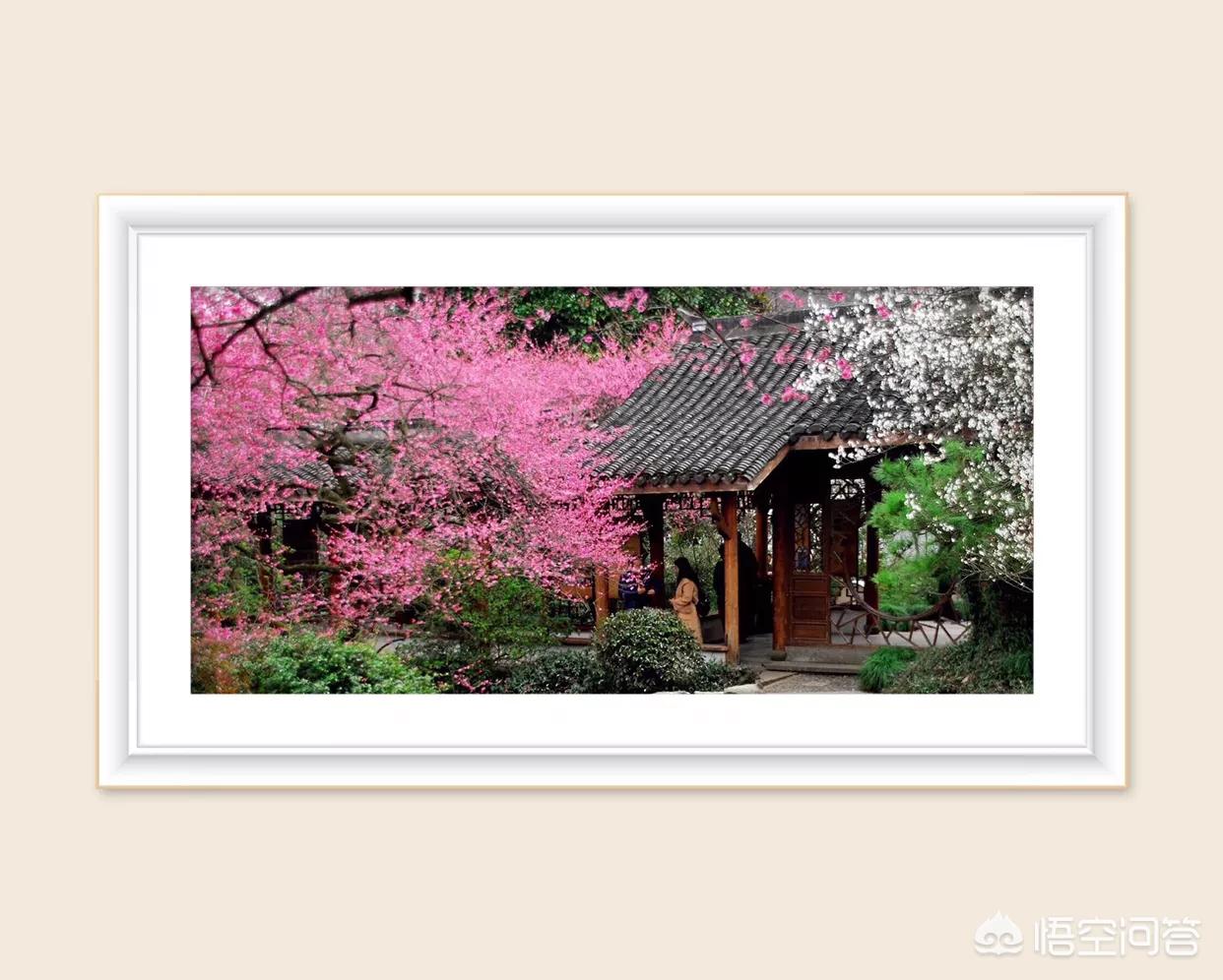 抑郁症不敢社交怎么办,抑郁症会有社交恐惧症吗