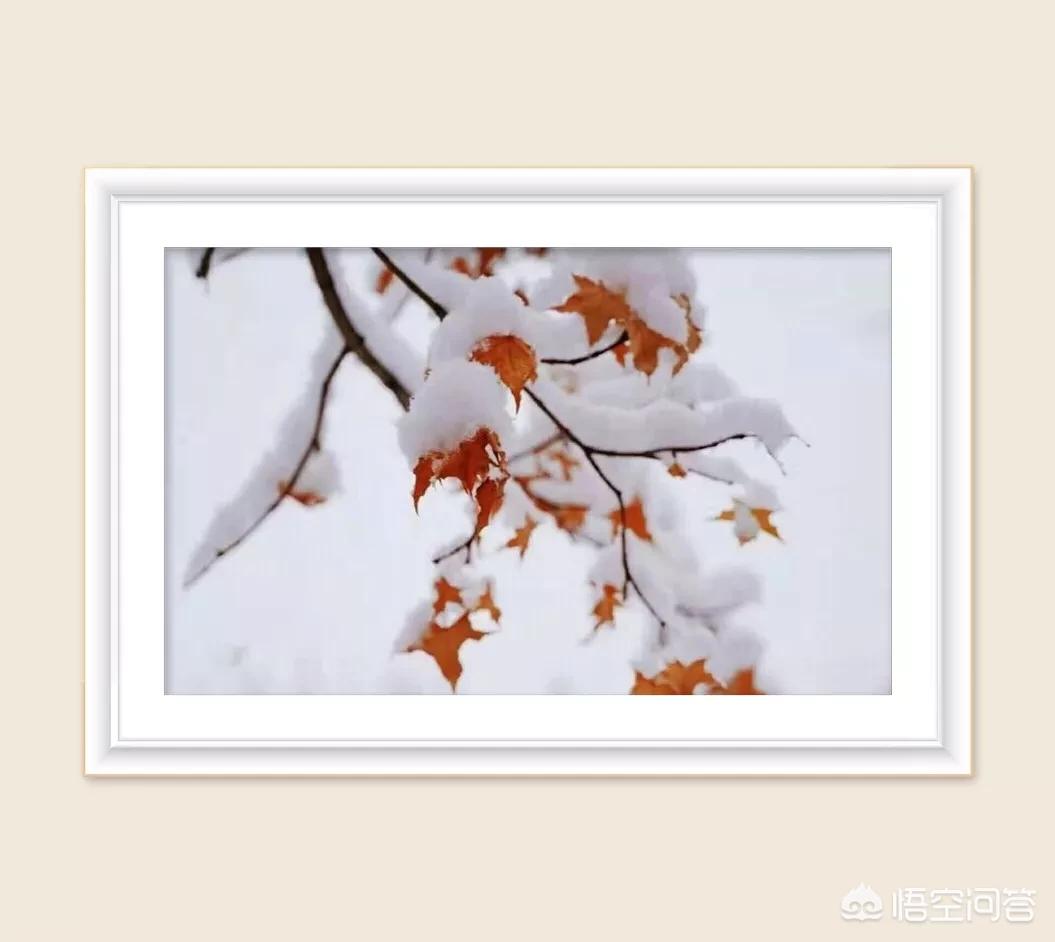 抑郁症不敢社交怎么办,抑郁症会有社交恐惧症吗